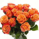 20-ORANGE-ROSE-BUNCH